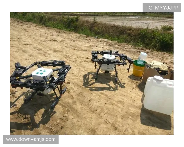 9170金沙官网登录入口安全稳定,提供多样化游戏体验与优质客户服务 9170金沙官网登录入口安全稳定,提供多样化游戏体验与优质客户服务