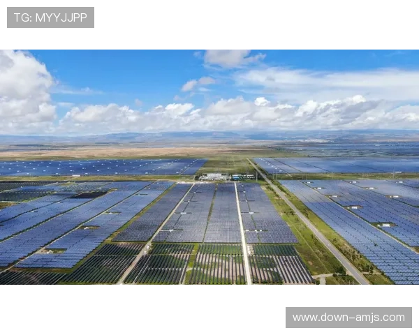 金沙官网地址最新入口，安全可靠的官方平台导航指南