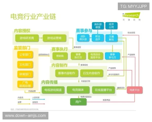 金沙电竞在电竞行业中的地位与未来发展趋势分析
