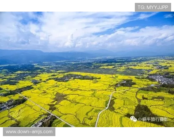 金沙体育客户服务与投诉处理流程详解保障用户权益无忧