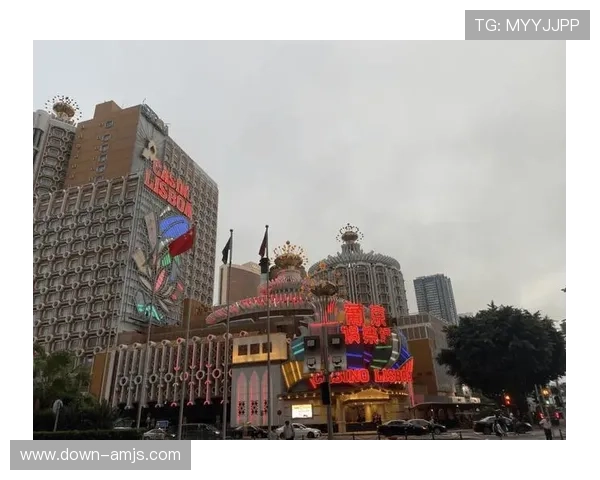 澳门有几家赌场的历史发展与未来规划，为游客提供全面参考