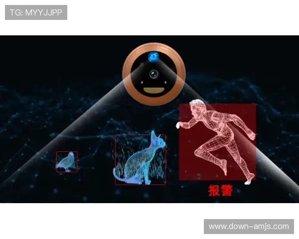 金沙赌场体育安全保障措施详解确保玩家资金与信息安全无忧